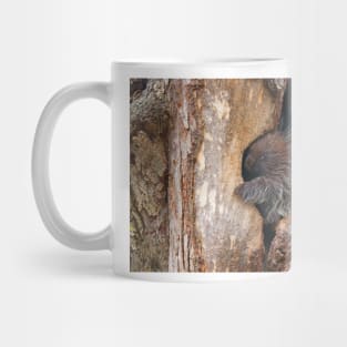 Baby Porcupine Mug